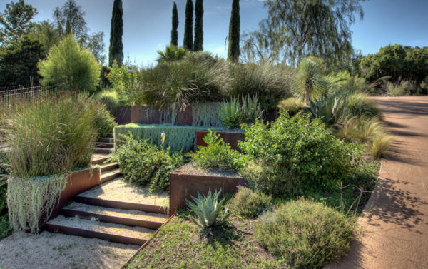 try this mediterranean landscaping with silver ponyfoot inside corten steel retaining wall