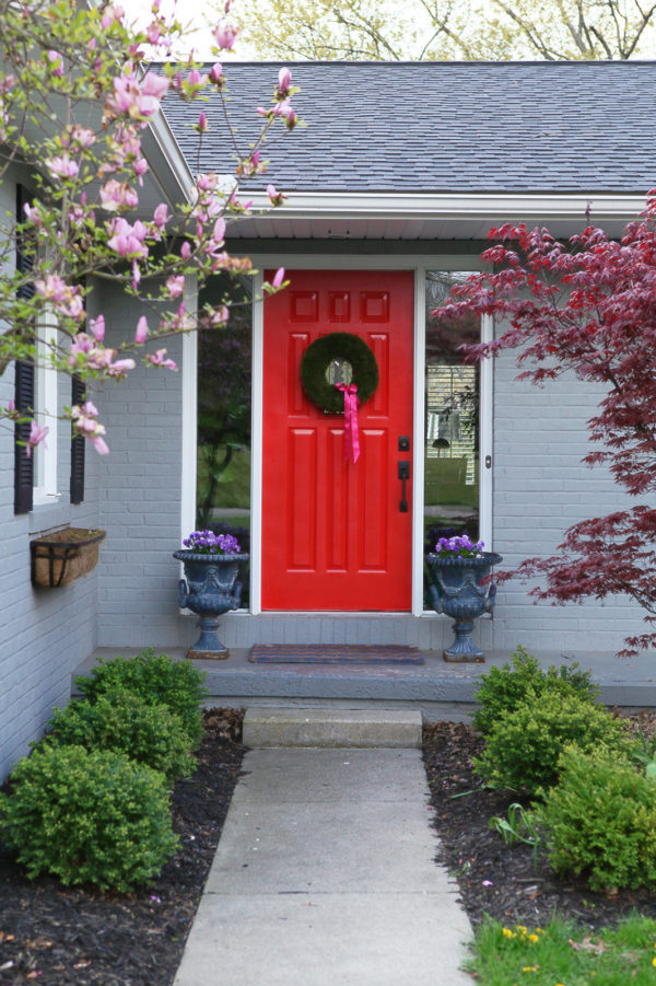plant a japanese maple tree to enhance the classic red door for a timeless house look