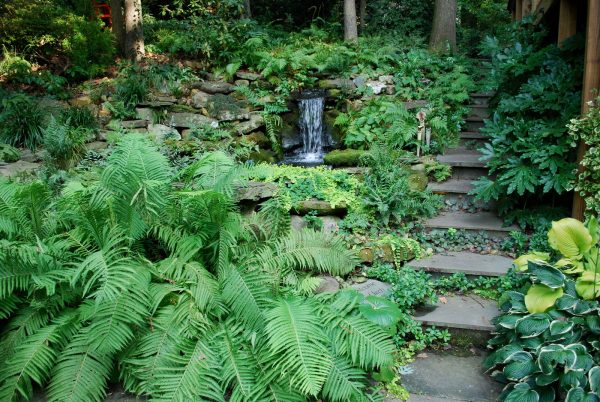 an eclectic and verdant landscaping slope with rocks is a green thumb's paradise
