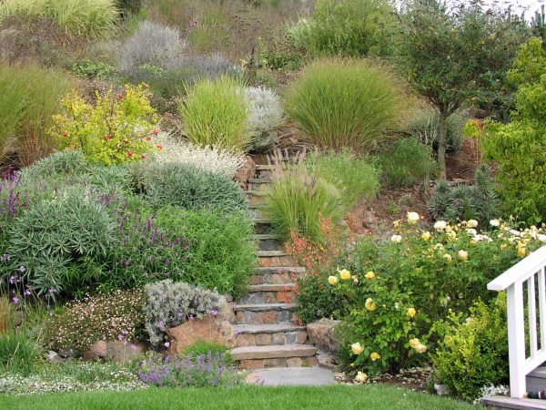 turn a steep hillside to this serene landscaping slope with rocks and lush plantings on both sides