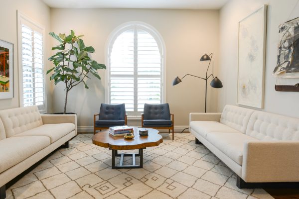 this contemporary space pairs simple white shutters for arched windows with a fiddle leaf fig plant