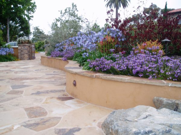 try a mediterranean idea for a retaining wall featuring scaevola flowers and a cameron stone cap