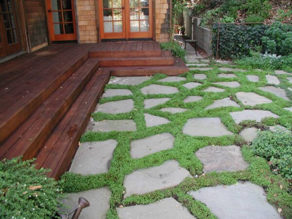 lay out irregular bluestone with plants for a dreamy patio next to a cozy wooden deck