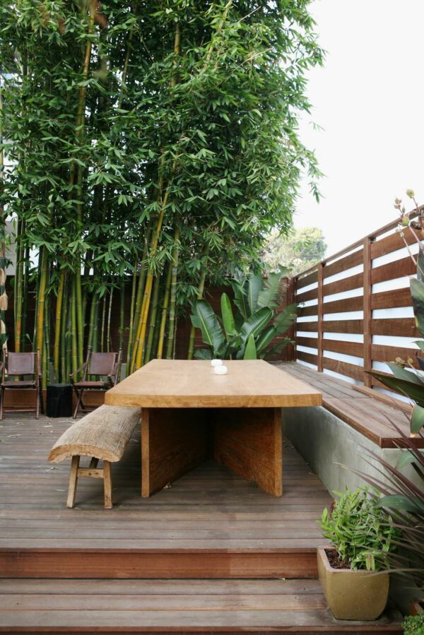 tall timber bamboos and plexi glasses can create privacy in a small backyard with a wood deck